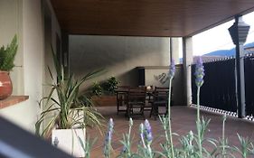 Can Musiquem Amb Piscina